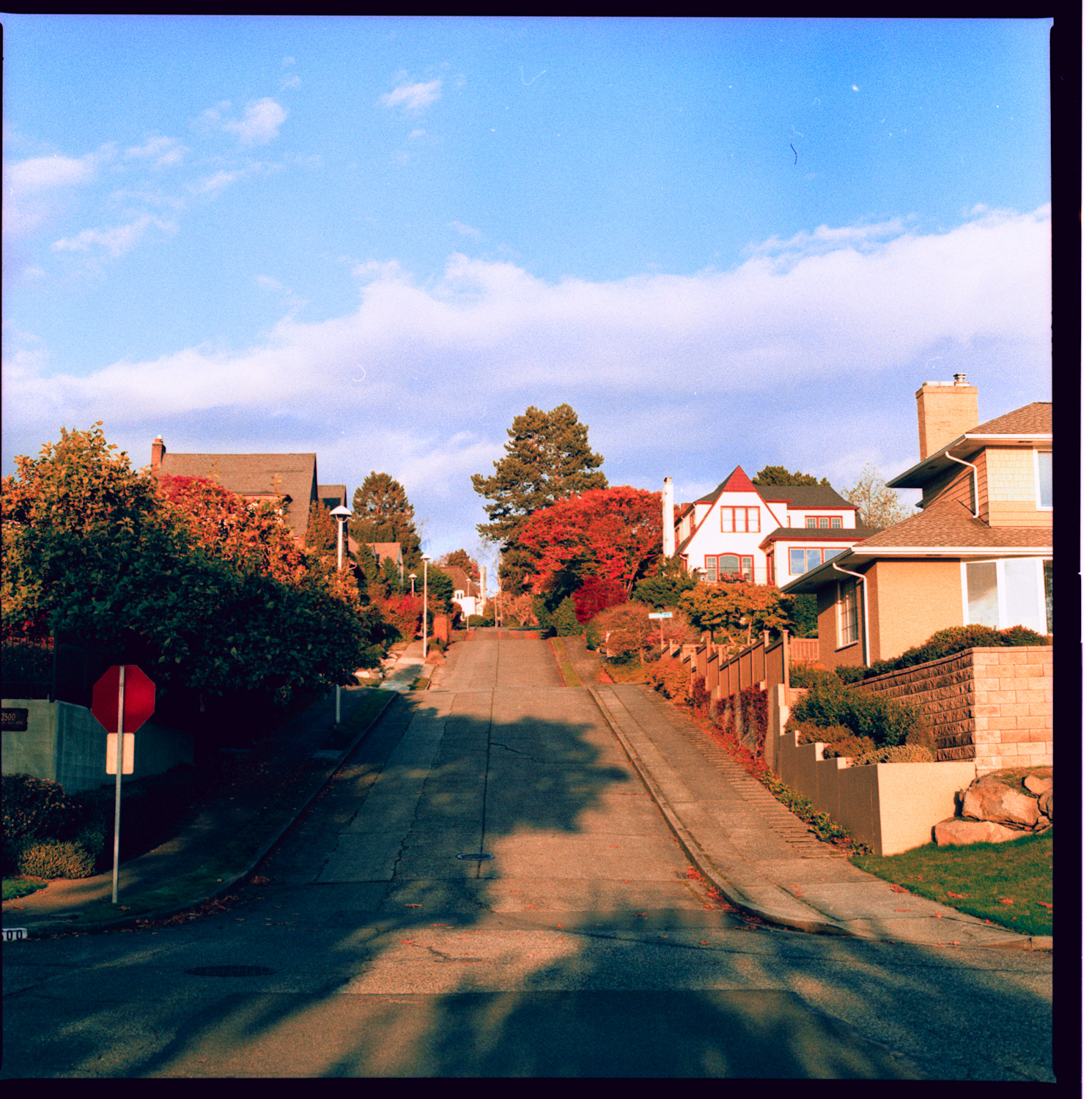 Landscaping Seattle Wa