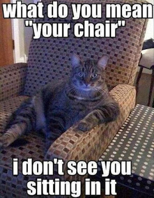Funny Animal Meme For You To Laugh Loud  #funny #funnymemes #funnyanimals #hilarious #hilariousmemes #jokes #lol