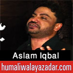 https://www.humaliwalayazadar.com/2016/07/aslam-iqbal-nohay-2002-to-2017.html