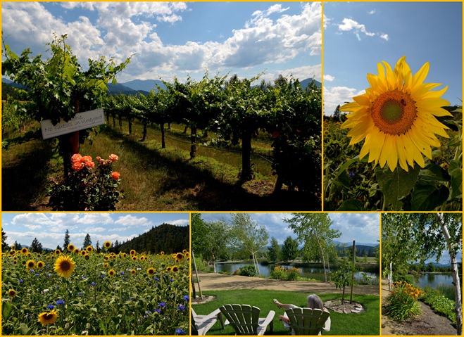 2012-07-19 Applegate Wineries