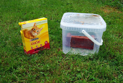 hedgehog hog feeder dry cat food