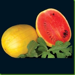 wm107_002