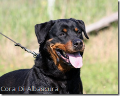 Cora Di Albascura