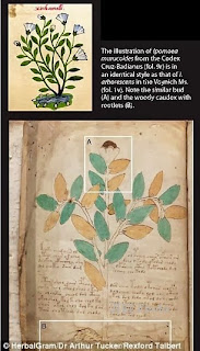 Misteri Naskah Voynich Mulai Terkuak