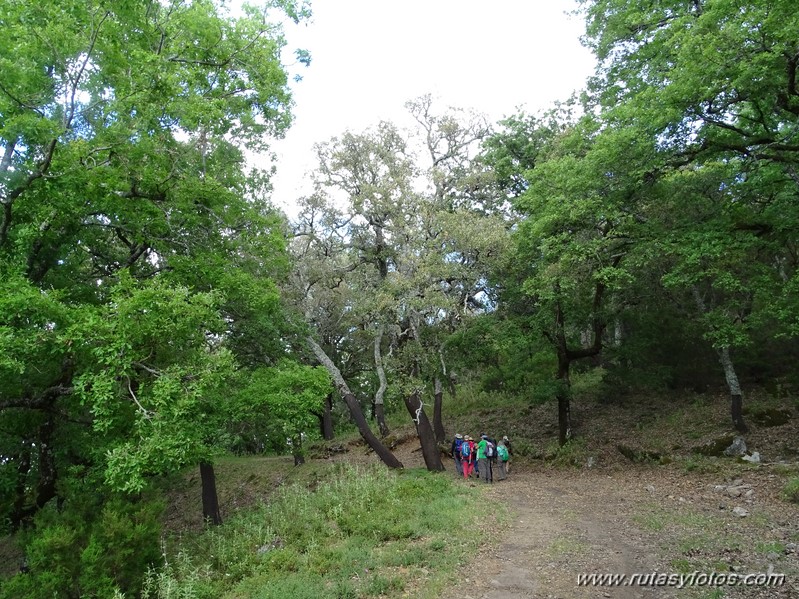 El Colmenar - Camino de los Arrieros - Puerto de los Peñones - Puerto de la Venta - Garganta de Los Charcones