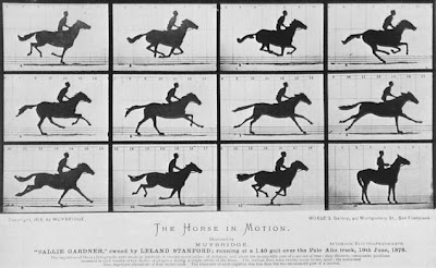 Eadweard J. Muybridge Image