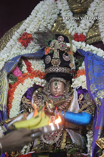 Thiruvallikeni,Triplicane,  Sri Theliya Singa Perumal, Sri Yoga Narasimha Perumal,Venkata Krishna , 2017, Video, Divya Prabhandam,Utsavam,Dhavana Utsavam,Murali Kannan