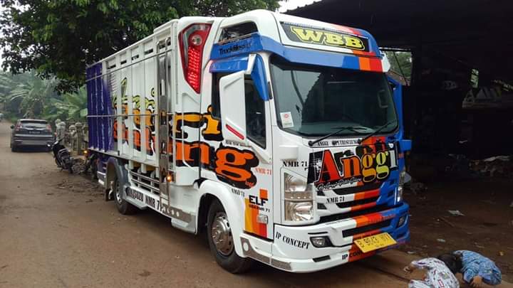 Jual Bak  Truk  Kayu  Merbau Untuk Isuzu Elf NMR 71 HD Jual 