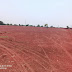12 Acre Agriculture  Land For Sale In Parigi, Hyderabad
