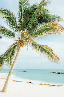 The Very Best and Worst time to Visit Florida - When to Go and What to See