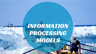 Information processing model