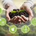 Consultoria em sustentabilidade