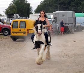 Picture: A steed being ridden at Brigg Horse Fair 2018, held on Station Road - see Nigel Fisher's Brigg Blog