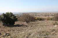 Israel, Travel, Golan Heights