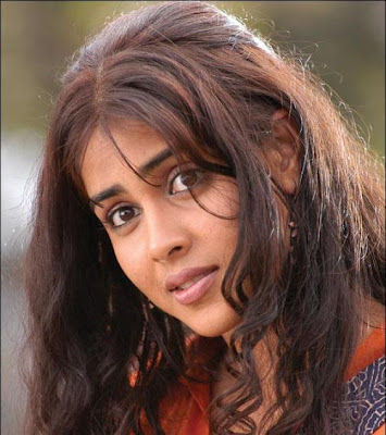 Hot Genelia D'souza Wallpaper