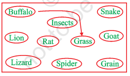 Question 18 Class 6th NCERT Exemplar Chapter 1 