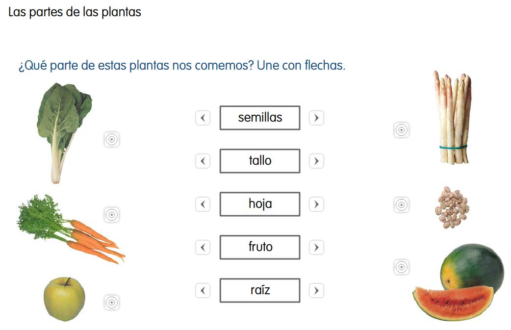 http://www.primerodecarlos.com/SEGUNDO_PRIMARIA/enero/tema1/actividades/CONO/plantas2.swf