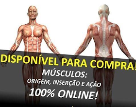 Curso "Músculos: origem, inserção e ação"