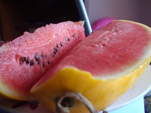 watermelon2 (7)