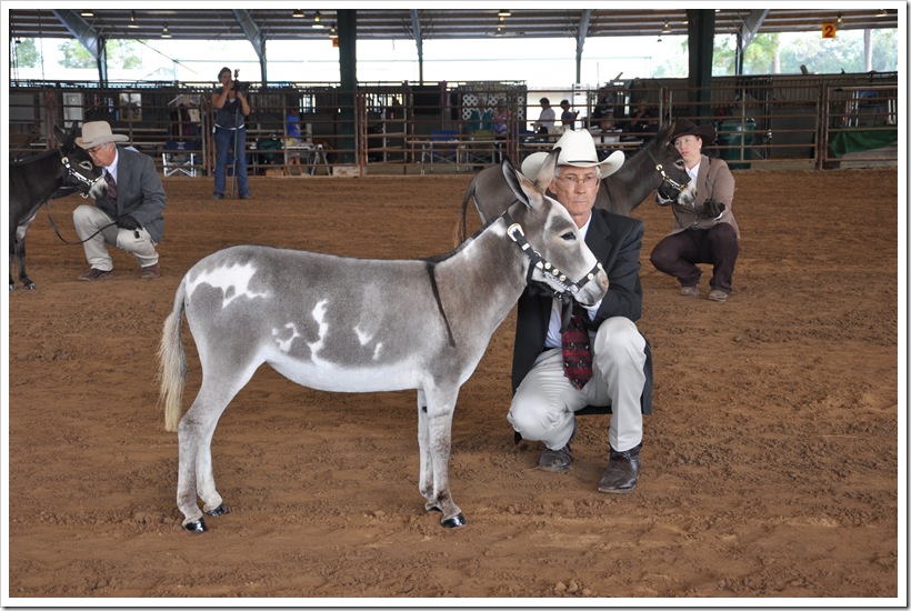 CONROE-September 105