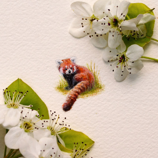 watercolor miniature paintings