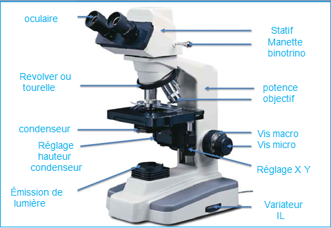 Microscope optique