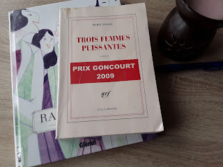 avis critique résumé nouvelles photo couverture image gallimard prix goncourt