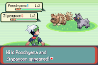 Pokemon Emerald: Double Edition Screenshot 04