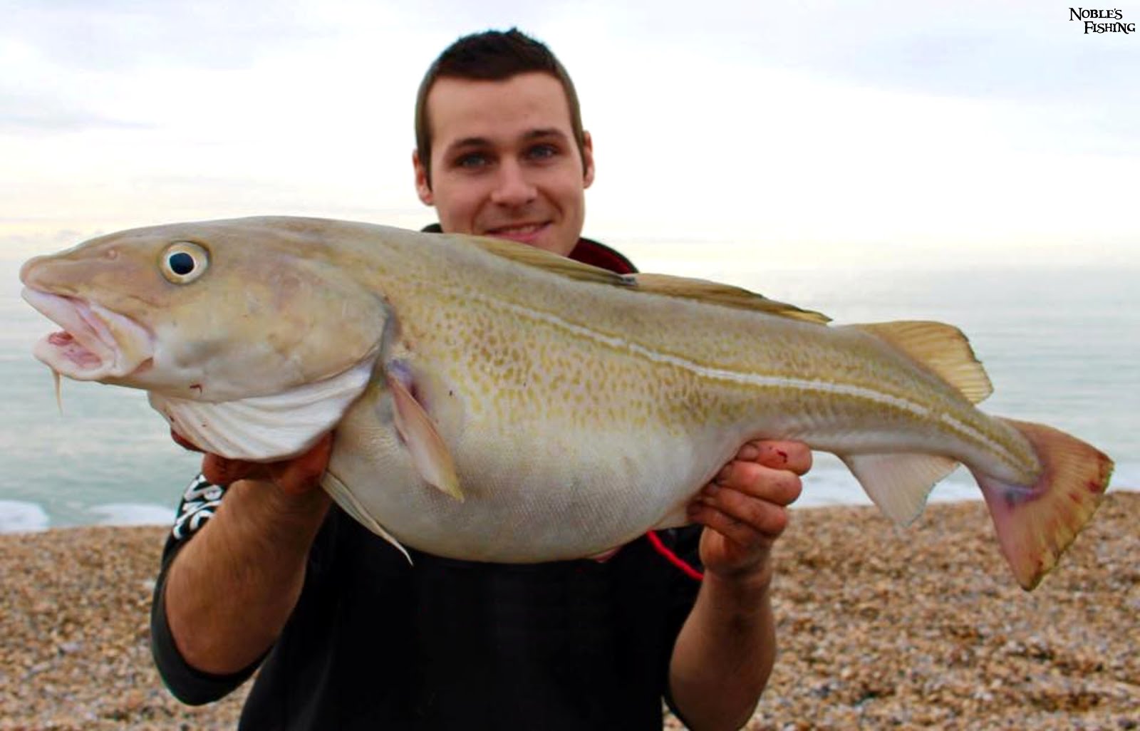 Noble's Fishing - Hints & Tips: Cod fishing from the shore and beach