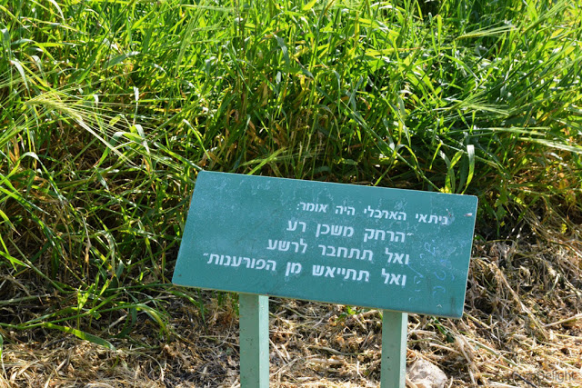 info sign about nitai ha'arbeli
