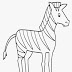 Zebra Animals Coloring Pages Printable Kids