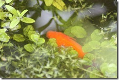 bilder 017