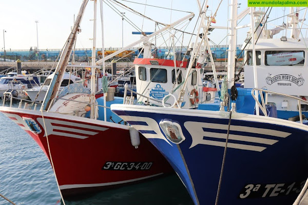 CC urge al Gobierno canario que exija a Madrid la apertura inmediata de la pesquería de atún rojo
