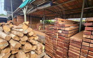 kayu bengkirai