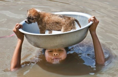 A young boy puts himself in danger to keep his dog safe during a flood.