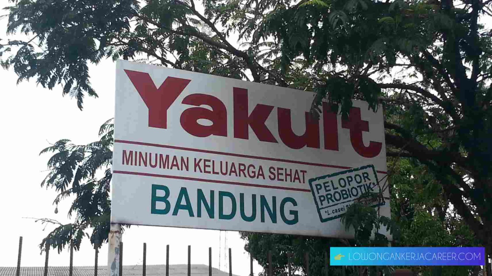 Lowongan Kerja Terbaru Yakult Bandung Update 2020 - Loker Karir