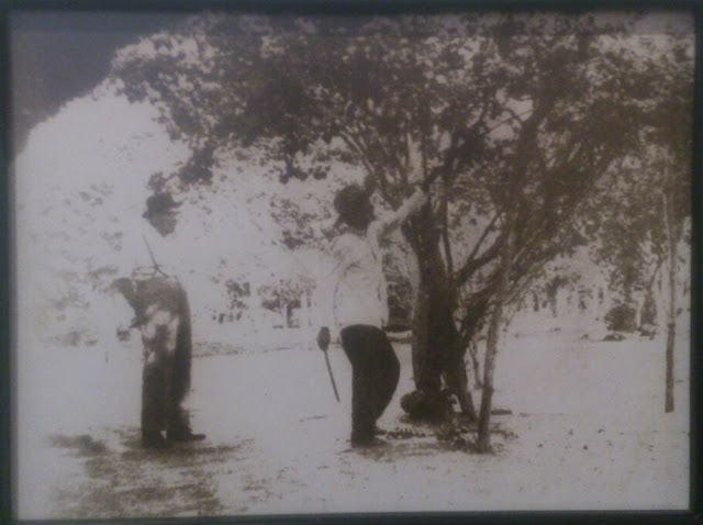 Alfonso López Pumarejo podando árboles frutales en Puerto Lopez