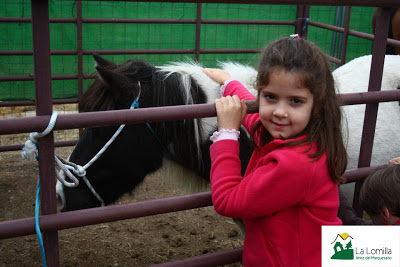 Feria Ganadera de Jérez del Marquesado - Fotografías de Camping La Lomilla