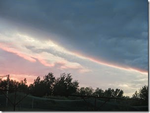 IMG_4145