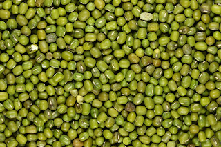 Foto Green Mung Bean (Kacang Hijau Biasa)