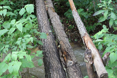 wood bridge river