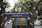 Vedanthangal Bird Sanctuary