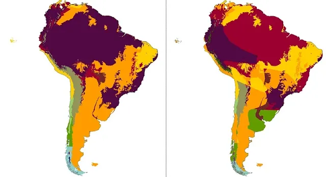Güney Amerika İklimi