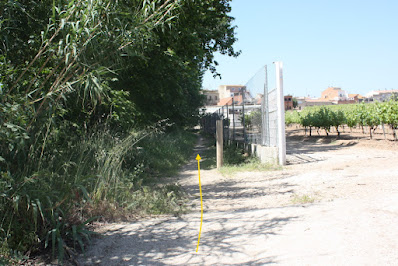 SANTA OLIVA CAMÍ DELS TURONS + CAMÍ DEL CAMP DE COLL - ESGLESIA DE SANT MIQUEL - RIERA DE SANT MIQUEL, corriol a la vora de les Masies de Sant Miquel al terme municipal de Banyeres del Penedès - Baix Penedès