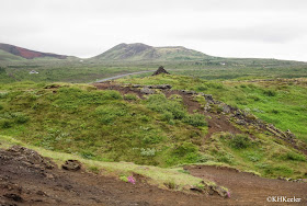Shallow soil on old volcanic debris, Iceland