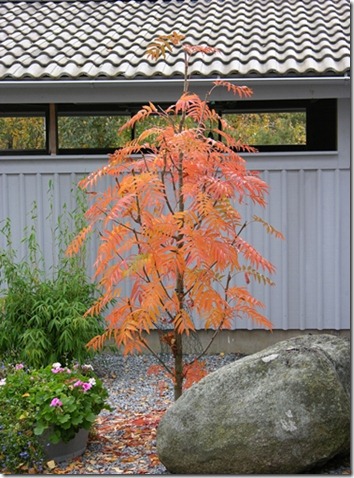 DSCN0162