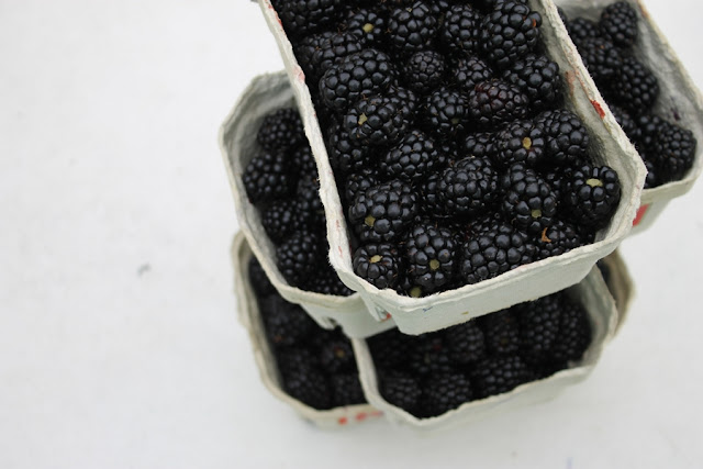 Brombeeren