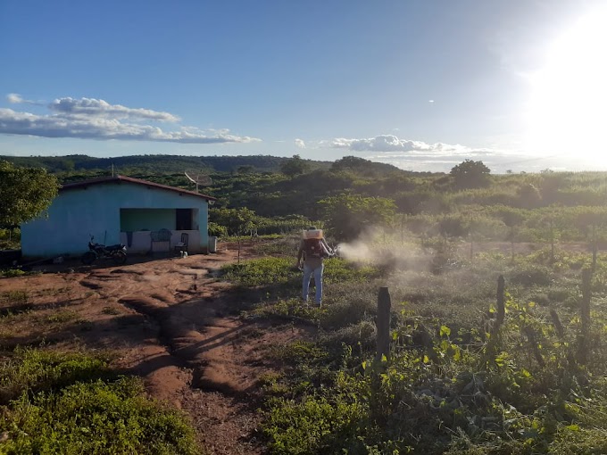 Assaré: Equipe de Endemias em ação para combater as arboviroses