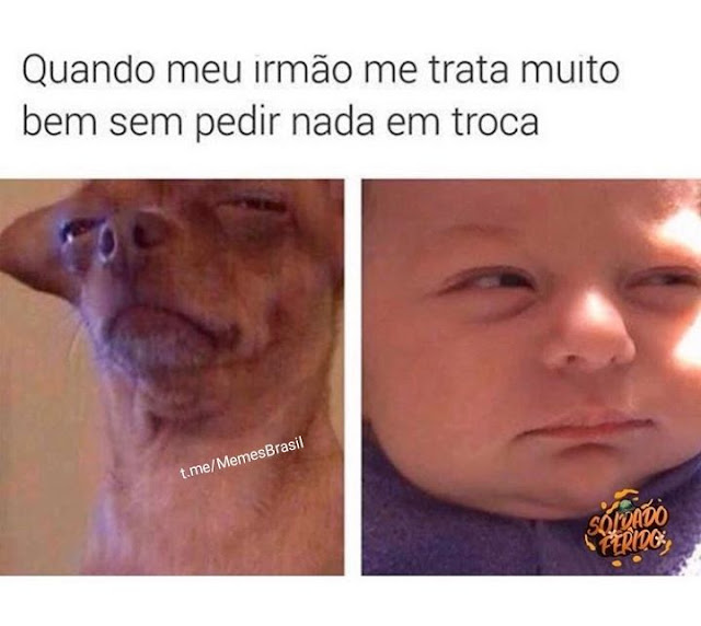 Rir é o melhor remédio: 40 memes para alegrar o seu dia!