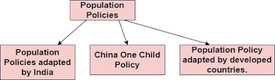 population policy